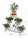 HLC 3-Tier A Frame Plant Pot Stand with Bottom Shelf