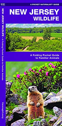 New Jersey Wildlife: A Folding Pocket Guide to Familiar Animals (Wildlife and Nature Identification)