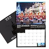 Walt Disney World Wall Calendar 2016