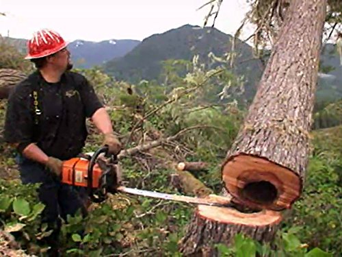 How do you turn english subtitles on amazon prime