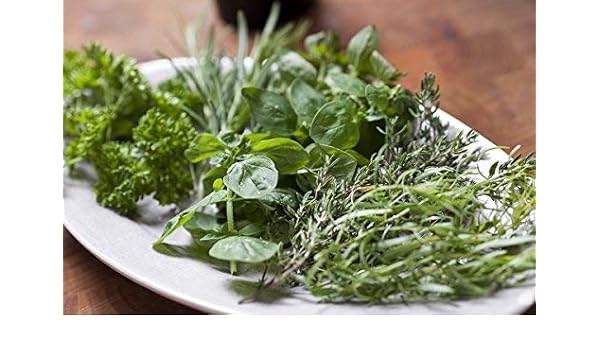 Cocina Aromática - Mezcla De Hierbas -: Amazon.es: Jardín