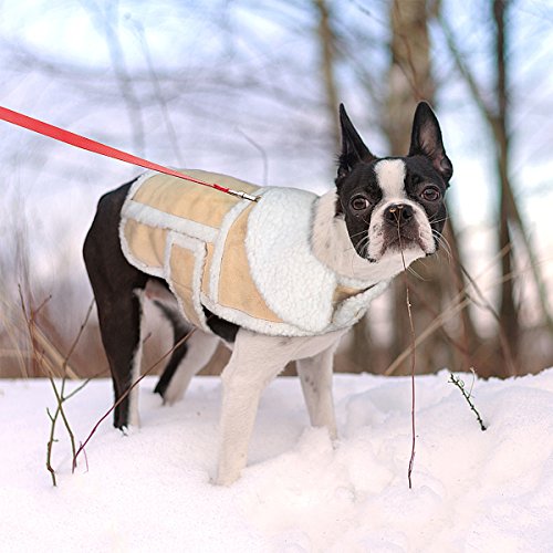 Namsan Dog Warm Coat,Dog Jacket,Winter Dog Clothes,Cold Weather Dog Jacket for Small Dogs