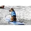 HAOCOO-Dog-Life-Jacket-Vest-Saver-Safety-Swimsuit-Preserver-with-Reflective-StripesAdjustable-Belt-for-All-Size-Dogs