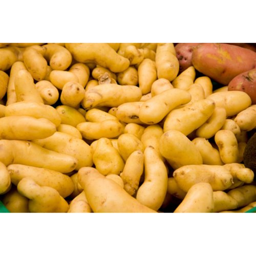 Russian Banana Fingerling - Avg 10 Lb Case