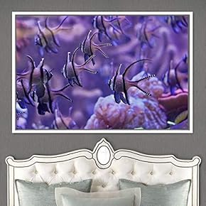 signwin Framed Canvas Wall Art School of Fish...