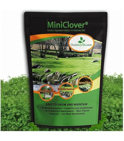 Amazon.com : Dixie Crimson Clover Seeds (5,000 Seed Package