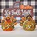 Thanksgiving Decorations Turkey Friends, 2 Piece Set, Cute Fall Decor Home Living Room and Kitchen Autumn Displays, Burlap and Ceramic with Leaves and Jewels