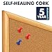 Quartet Cork Board, Bulletin Board, 3' x 2' Corkboard, Oak Finish Frame (303)