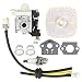 Savior RB-K106 Carburetor Air Filter Fuel Line Kit for Echo ES-250 PB-250 PB-250LN ES250 PB250 PB250LN Handheld Blower A021003660 A021003661