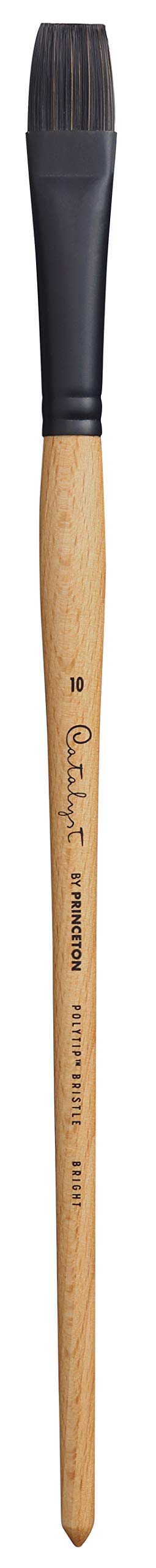 Princeton Catalyst Series P6400 Flat Short Size 10 Long Handled