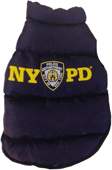 small medium dogs for adoption