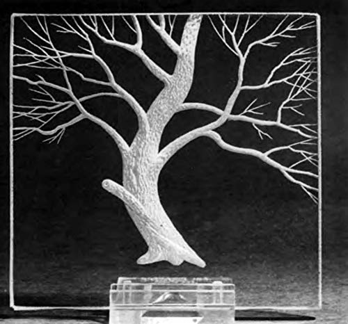 Engraving Glass: A Beginner's Guide (Dover Crafts: Glass Work) - Thumbnail 6