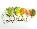 MELIP lures Fishing Hard Spinner Lure Spinnerbait Pike Bass 5 pac (16.3g/0.57oz)