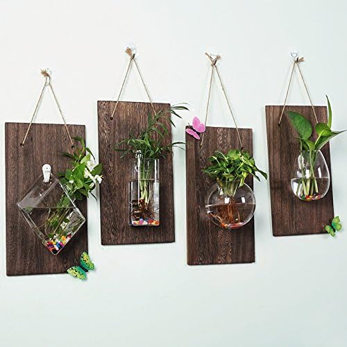 Ivolador Wall glass hanging planter with wooden board for Wall background decoration (Wood + round cake vase)