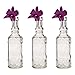 Luna Bazaar Small Vintage Glass Bottle Set (6.5-Inch, Clear, Calista Cylinder Design, Set of 3) - Flower Bud Vase for Home Décor and Wedding Centerpieces