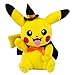 Pokémon Small Plush, Pikachu