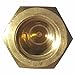 3/8-16 Hex Cap Nuts, Solid Brass, Grade 360, Commercial, Plain Finish, Quantity 25