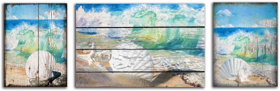 Coastal Serene Canvas Wall Art Vintage Blue Green Conch Shell Coral Canvas Print Painting Suitable for Bathroom Decor and Bedroom Wall Decor 3pcs（12inchx16inchx2 16x24inchx1）