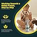 mdxconcepts Jasper Cat Flea and Tick Control Spray -Treatment for Cats -100% Natural -Essential Oils -Safe to Use -16 oz