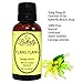 Ylang Ylang #3 Essential Oil: 30mL. 100% Pure, Natural & Undiluted Cananga Odorata.