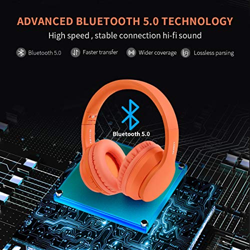 Lobkin Over-Ear Headphones Bluetooth with Microphone, Foldable Hi-Fi Stereo Noice Reduce Earphones for Class, Home Office, Game/PC/Phone Comfortable Steel Wireless Headphone for tv