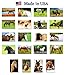 HORSES postcard set of 20 postcards. Horse post card variety pack. Made in USA.