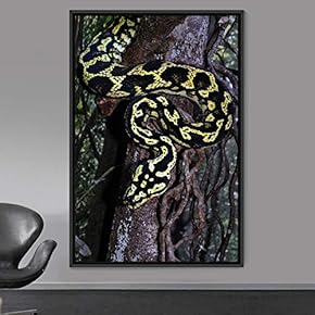 signwin Framed Canvas Wall Art Snake Contemporary Dramatic...