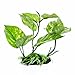 Fluval Lizard's Tail Plant for Aquarium, 6.75-Inch