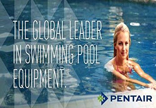 Pentair 59023400 Complete Element Grid Assembly 48 Square Feet Pool DE Filter FNS Plus