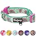 Blueberry Pet Soft & Comfy Paisley Flower Print Neoprene Padded Dog Collar, Emerald Green, Small, Neck 12