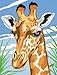 Reeves Medium Painting By Numbers - Giraffe