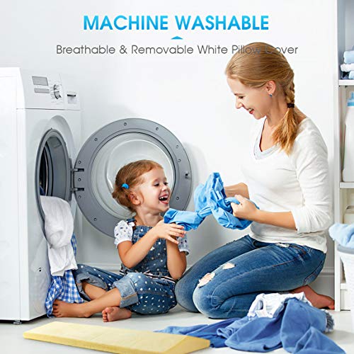 HOKEKI Lumbar Support Back Pillow for Sleeping, Memory Foam Back Pain