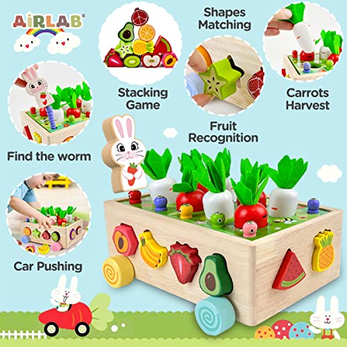 Wooden Farm Carrots Harvest Toddler Montessori Toys for 3 4 5 Year Old