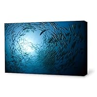 Canvas Wall Art Sea Fish Canvas Prints Home Artwork Decoration for Living Room,Bedroom - 12x18 inches