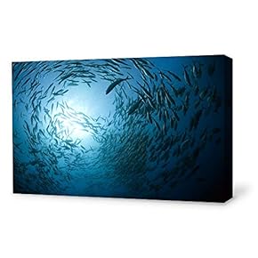Canvas Wall Art Sea Fish Canvas Prints Home Artwork Decoration for Living Room,Bedroom - 12x18 inches