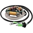 OEPUNAIKE Stator Fits For Yamaha Jetski SJ Wave Raider 700 Delux/Wave Venture 700 Super Jet 650 SuperJet 700 FX1 Wave Blaster 700 /Wave Runner III XL 6R8-85560-10-00 62T-85560-00-00 6R7-85560-10-00