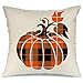 AENEY Fall Buffalo Check Plaid Pumpkin Throw Pillow Cover 18 x 18 for Couch Autumn Decorations Farmhouse Home Decor Thanksgiving Decorative Pillowcase Faux Linen Square Cushion Case for Sofa