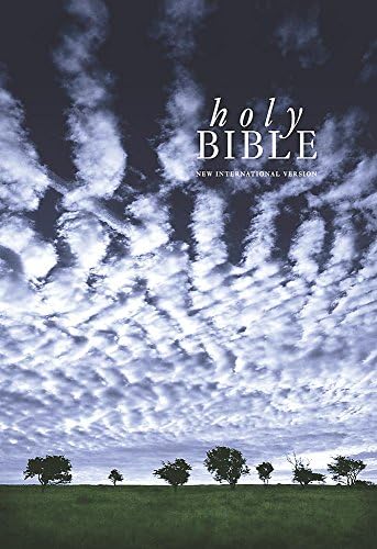 NIV Compact Blue Paperback (Bible Niv)