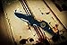 TAC-FORCE TF TACTICAL SPRING ASSISTED KNIFE