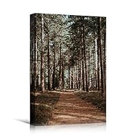 Canvas Wall Art Green Forest Dramatic Forest Landscape Living Room Multicolor Photography Rustic - 12x18 inches