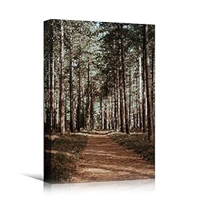 signwin Canvas Wall Art Green Forest Dramatic Forest...