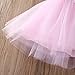HOTONE Newborn Toddler Baby Girls Floral Dress Party Ball Gown Lace Tutu Formal Dresses Sundress (4-5T, Pink)
