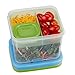 Rubbermaid Green Salad Container Kit, 5.2 Cup Capacity, BPA-Free