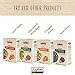 Explore Cuisine Organic Edamame & Mung Bean Fettuccine - 8 oz, Pack of 2 - Easy-to-Make Pasta - High in Plant-Based Protein - Non-GMO, Gluten Free, Vegan, Kosher - 8 Total Servings
