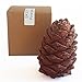 SIBERIAN CEDAR CONE – PINUS SIBIRICA (lat.) – Plant and Grow Your Own RINGING CEDARS! Perfect for Planting Purposes. Wild Harvested in Siberia, Russia. Great Gift! Cedar Pendants. Cedar Nut Oil.