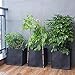 ORZ 15 Gallon Square Grow Bag Enhanced Version, 3 Pack Planter Pot with Trellis Supporting Ring – Blackthumb 2