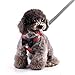 Rypet Small Dog Harness and Leash Set - No Pull Pet Harness with Soft Mesh Nylon Vest for Small Dogs and Cats Red S