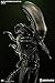 Sideshow Ridley Scott 1979 H.R. Giger Alien Internecivus Raptus Alien Statue