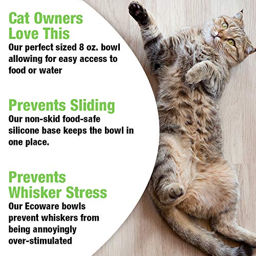5 Van+Ness+ECOWARE+CAT+DISH