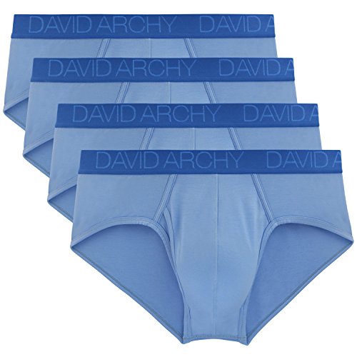 David Archy Men's 4 Pack Breathable Bamboo Briefs with Fly(S,Sky Blue)